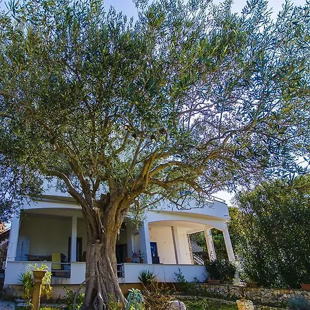 Apartment Dario Trogir